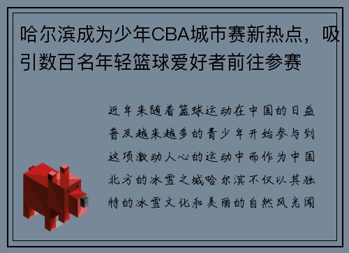 哈尔滨成为少年CBA城市赛新热点，吸引数百名年轻篮球爱好者前往参赛