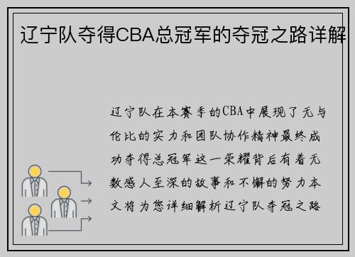 辽宁队夺得CBA总冠军的夺冠之路详解