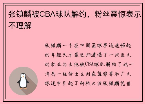 张镇麟被CBA球队解约，粉丝震惊表示不理解